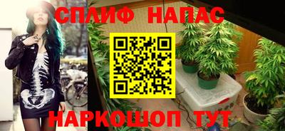 a pvp Краснознаменск